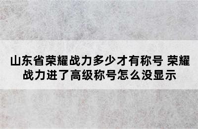 山东省荣耀战力多少才有称号 荣耀战力进了高级称号怎么没显示